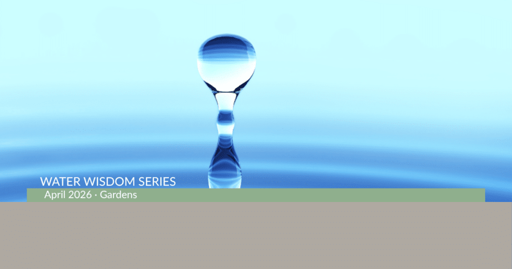 Pool of water witl splashing drop.