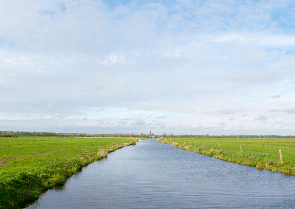 A Dutch polder, 65% of the Netherlands is this pumped out low land.