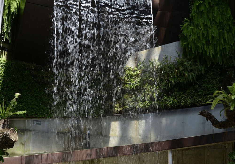 Interior waterfall at the Estepona Orchidarium creating humidity for tropical orchids.