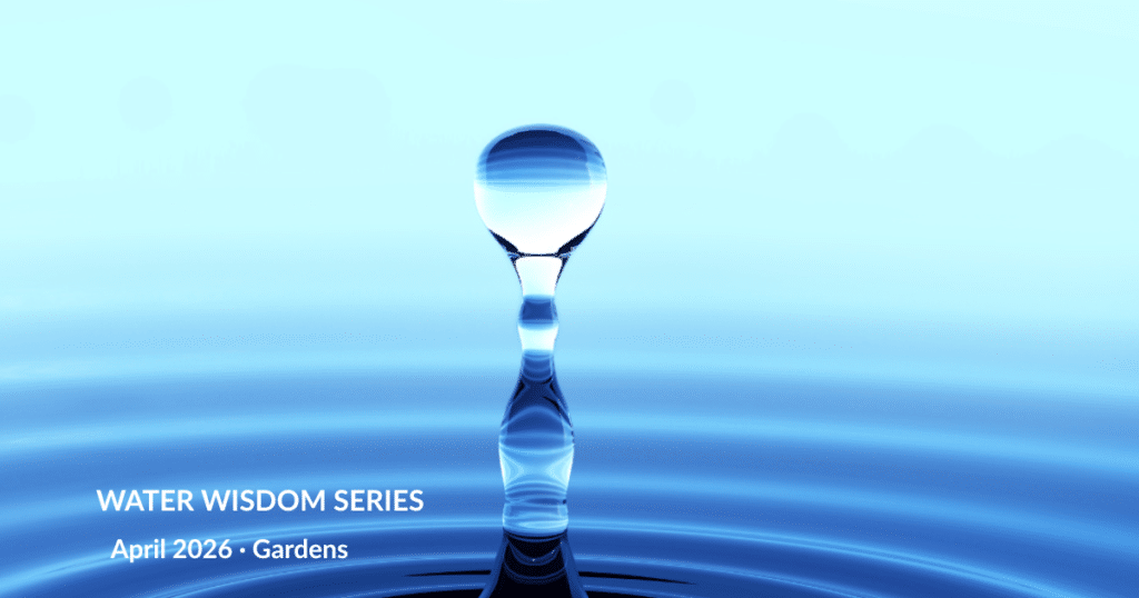 A sparkling drop of water above rings of blue water,