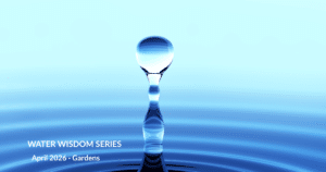 A sparkling drop of water above rings of blue water,