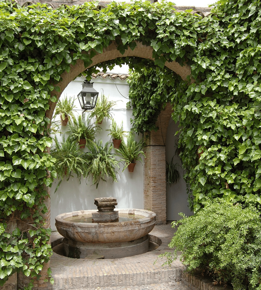 Green courtyard wall covered in ivy with a small stone fountain in the center.
