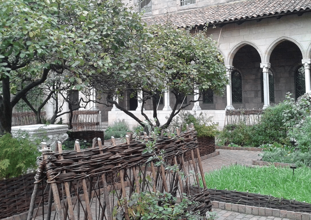 A medieval-style herb garden at The Cloisters in New York with raised beds, woven edging, and medicinal plants arranged in compact plots beneath a stone cloister.