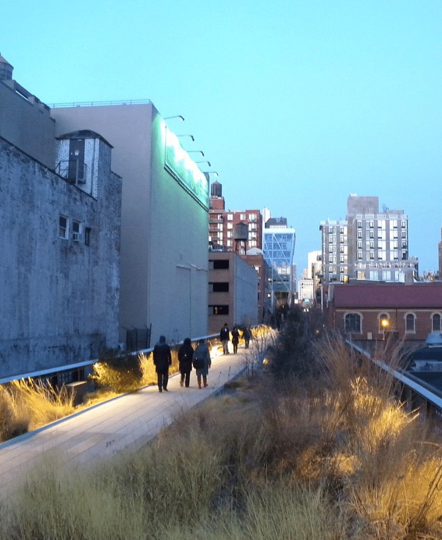The Piet Oldorf designed High Line gardens