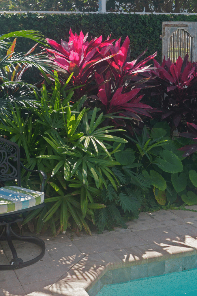 Potted plants in front of a wall with climbing fig and a mirrored door decoration