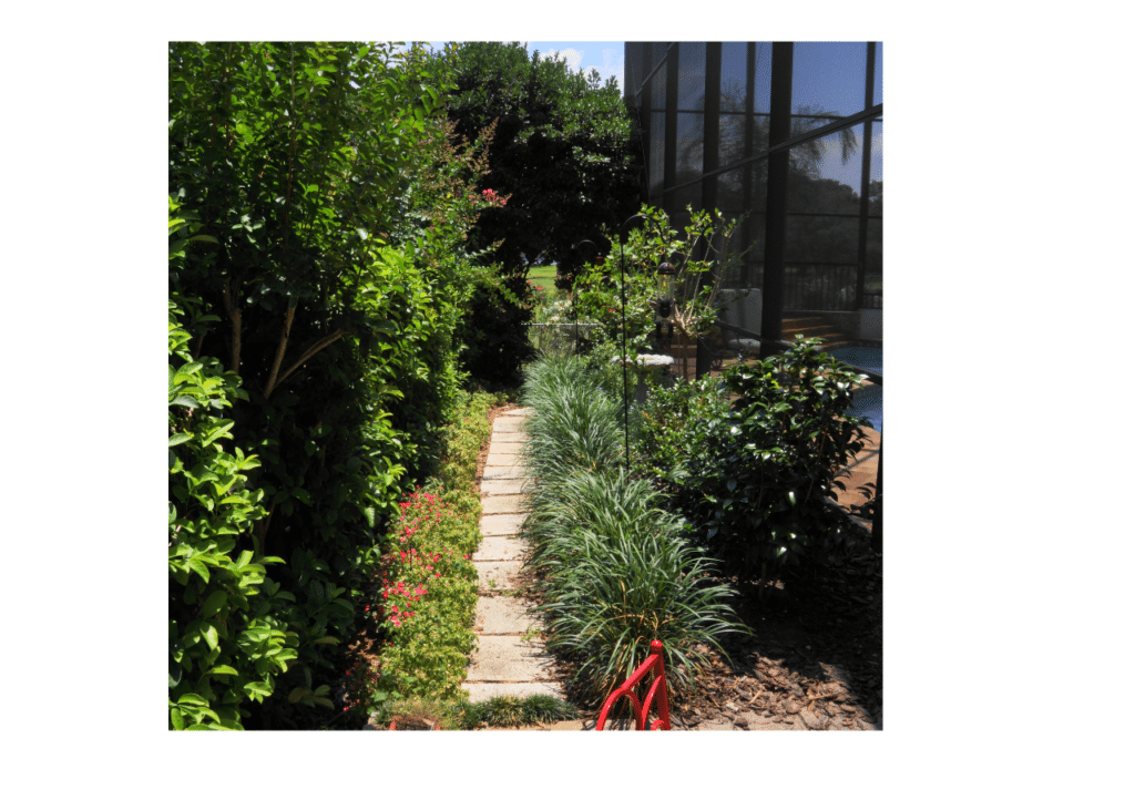 Florida side garden with a stone path, dense planting, and a seating area beside a screened pool enclosure.
