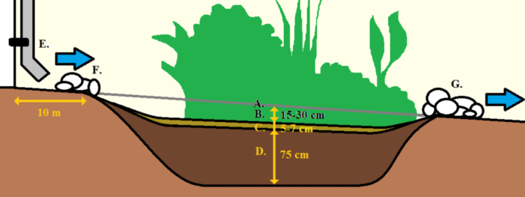 diagram of a rain garden design