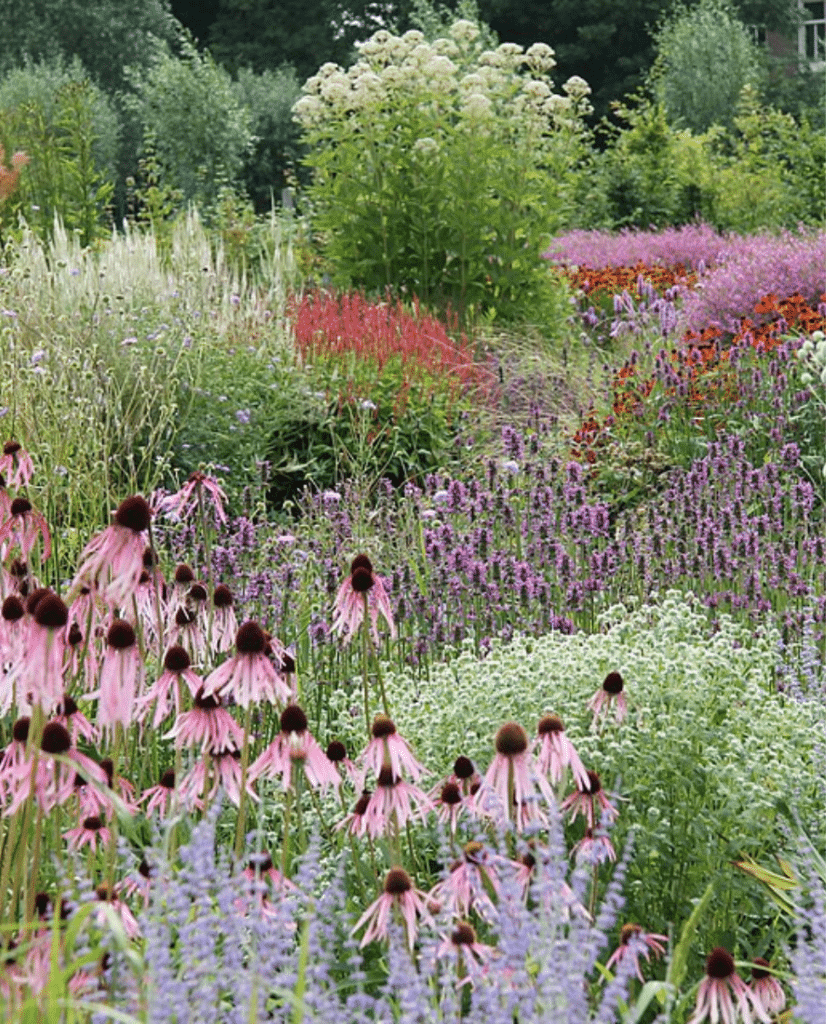 This is Vlindenhorf Garden