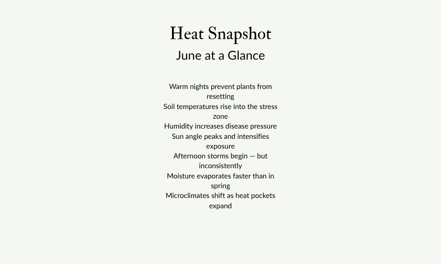text for snapshot of initial data
