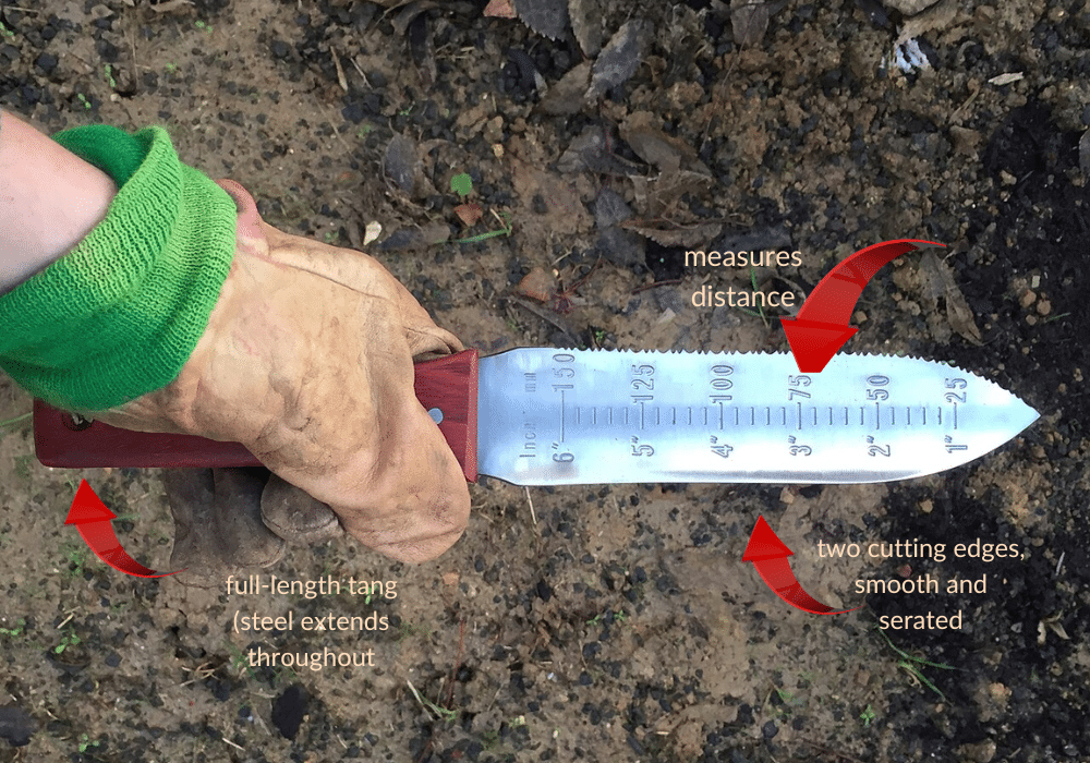 Horizontal photo of a Japanese hori‑hori knife showing its serrated edge, depth markings, and pointed tip, used for planting caladium bulbs and other garden tasks.