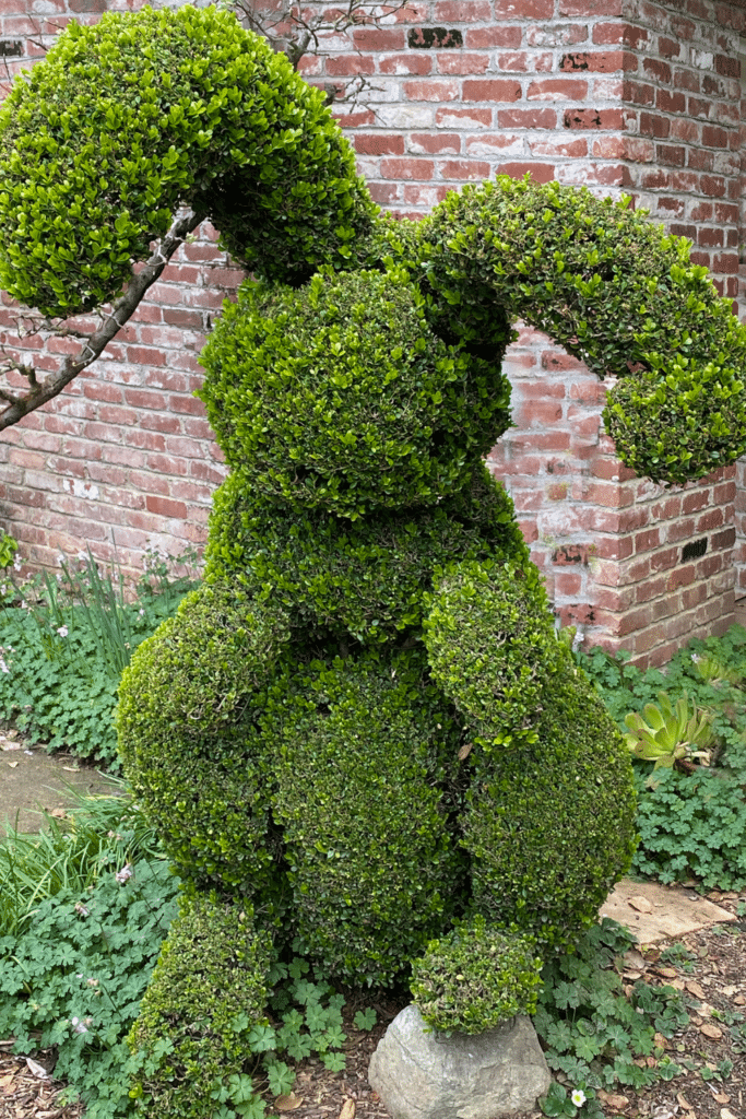 Rabbit‑shaped topiary trimmed from dense green foliage, set in a garden with surrounding plants