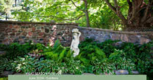 A cool, shaded summer garden with healthy hostas growing along a light-colored wall, showing how shade and microclimates protect plants from June heat.