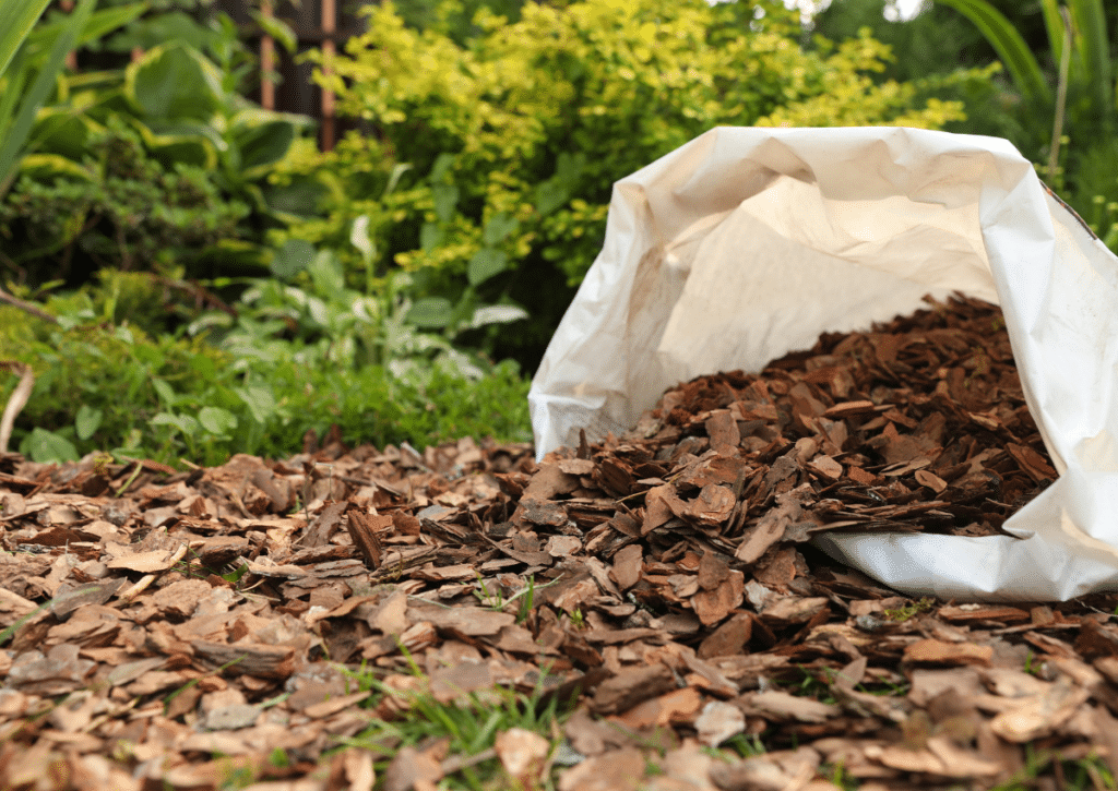Alt text: Fresh mulch being added around plants during mid‑summer.