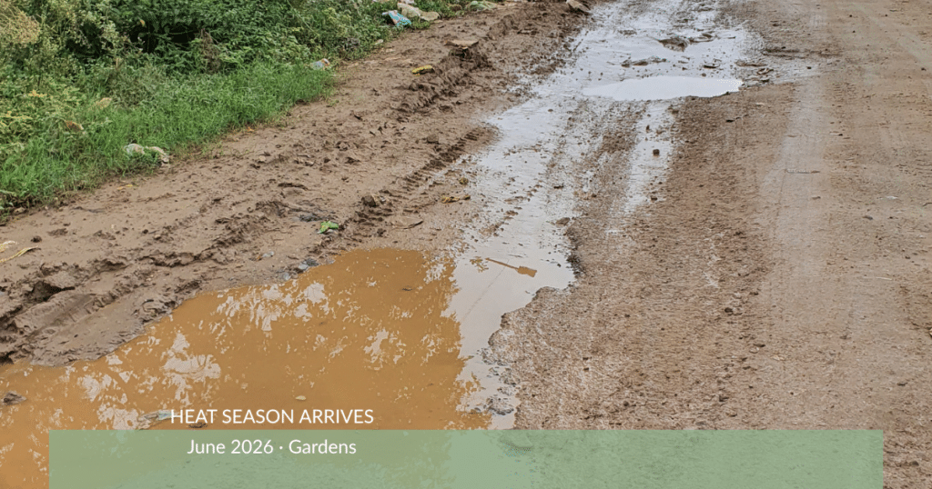 Sprinkler overspraying water onto the road, showing wasted irrigation and runoff during a summer watering cycle.