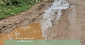 Sprinkler overspraying water onto the road, showing wasted irrigation and runoff during a summer watering cycle.