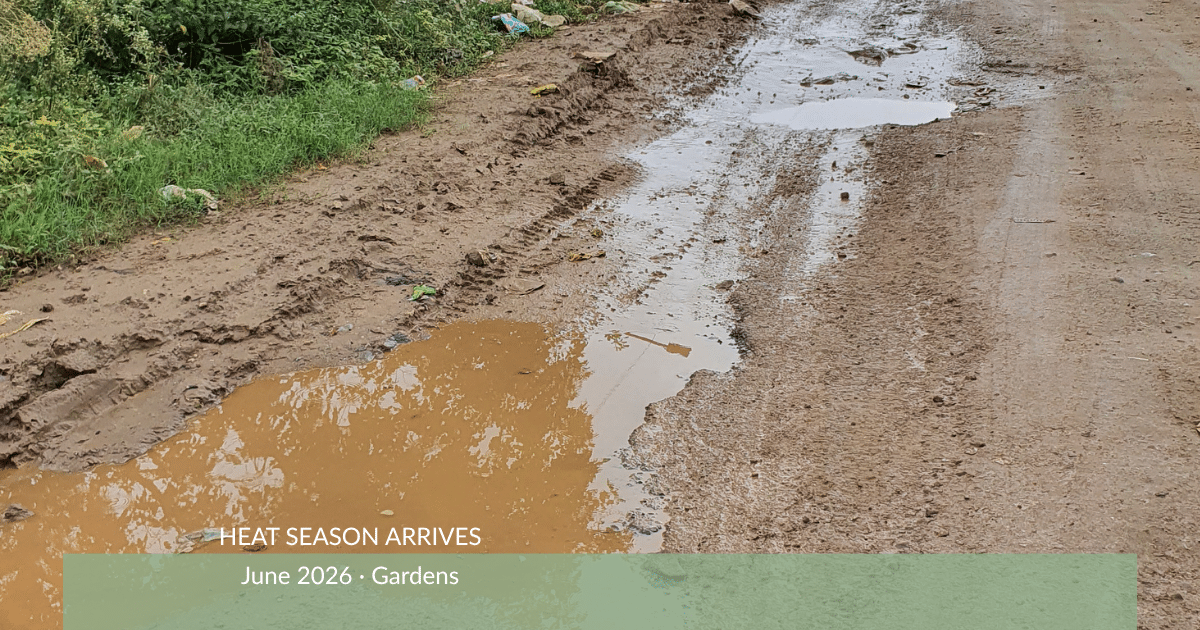 Sprinkler overspraying water onto the road, showing wasted irrigation and runoff during a summer watering cycle.