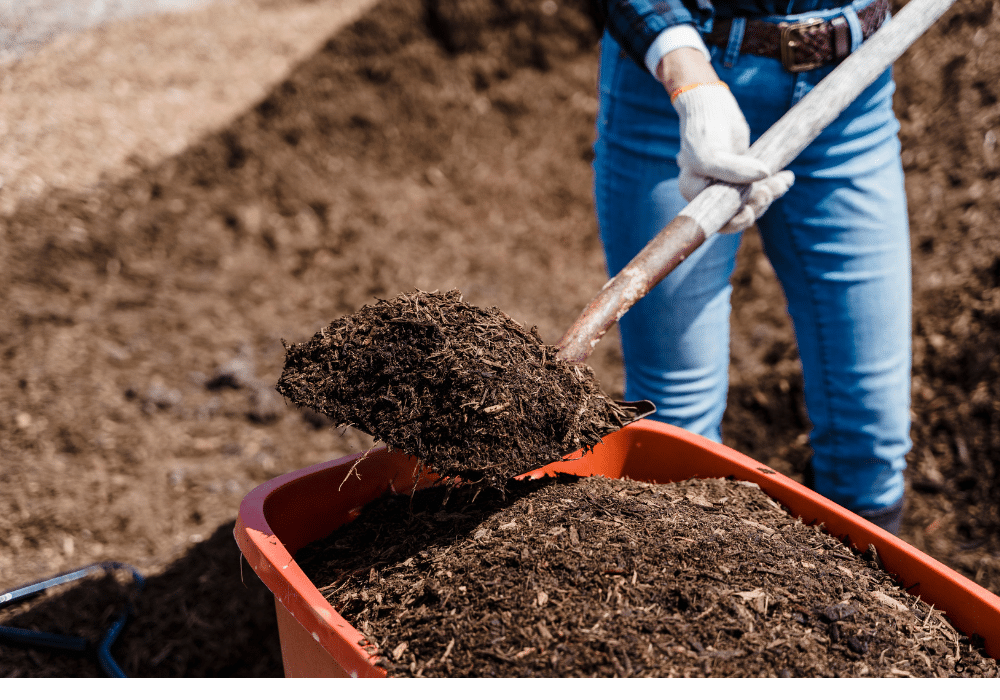 Pile of mulch being added to garden