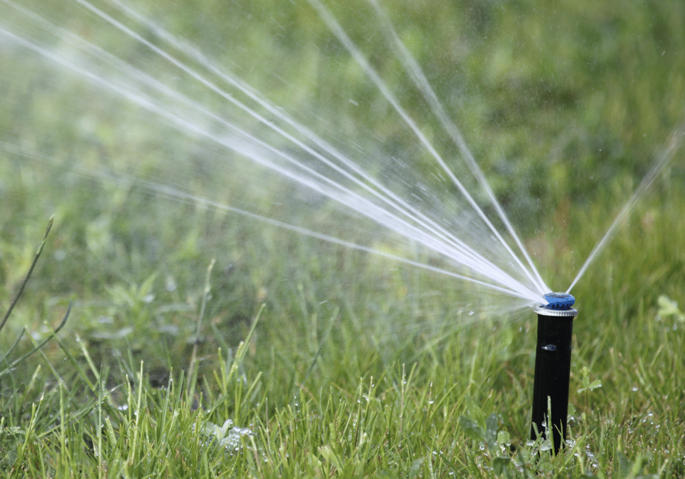 Close‑up of a pop‑up sprinkler head spraying water across a lawn, showing distribution pattern.