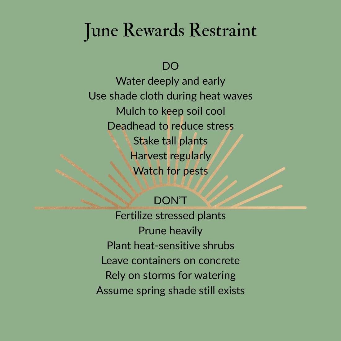 June gardening dos and don’ts list highlighting watering, shade, mulch, and heat‑season care tips for gardens