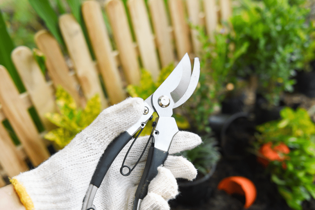 hand holding a garden tool