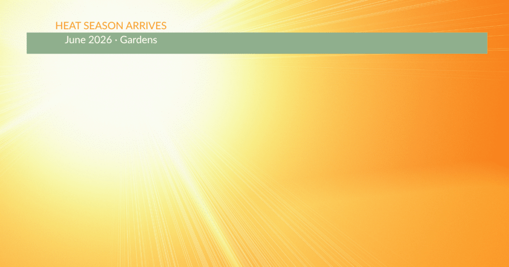 brilliant sun