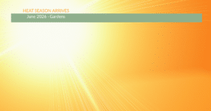 brilliant sun