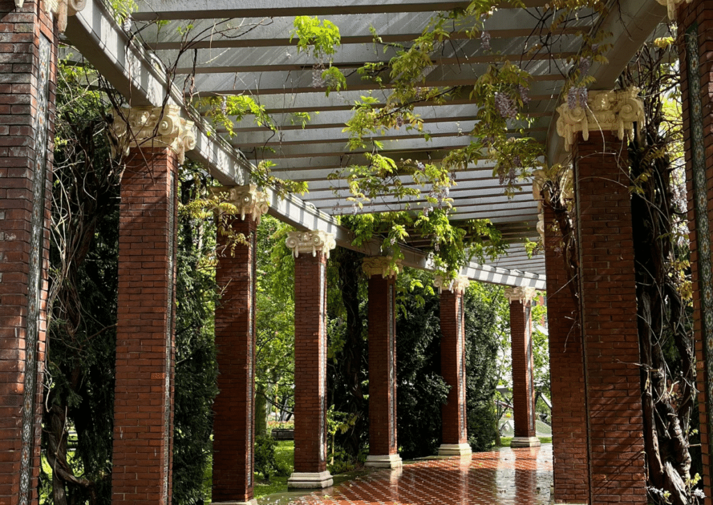 dappled sun dropping through a pergola