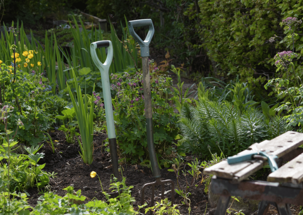 Spade amd fork in a garden bed.