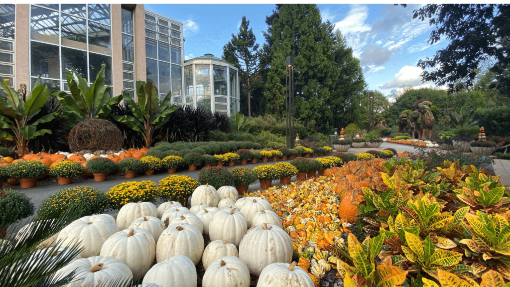 Atlanta GA Botanical Garden in fall.