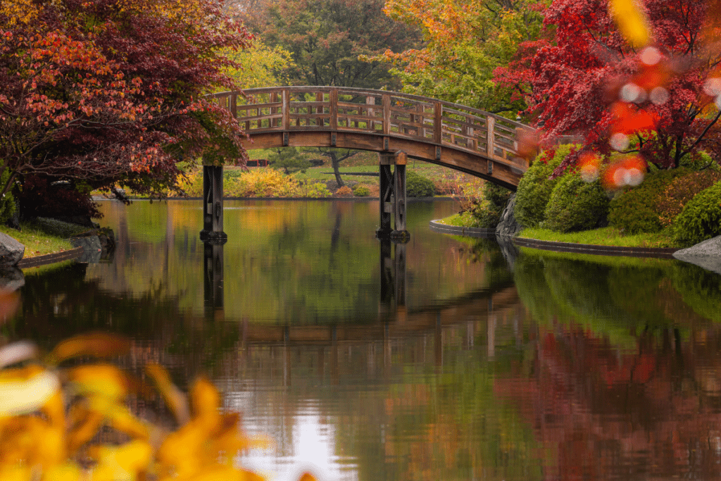 The Drum Bridge