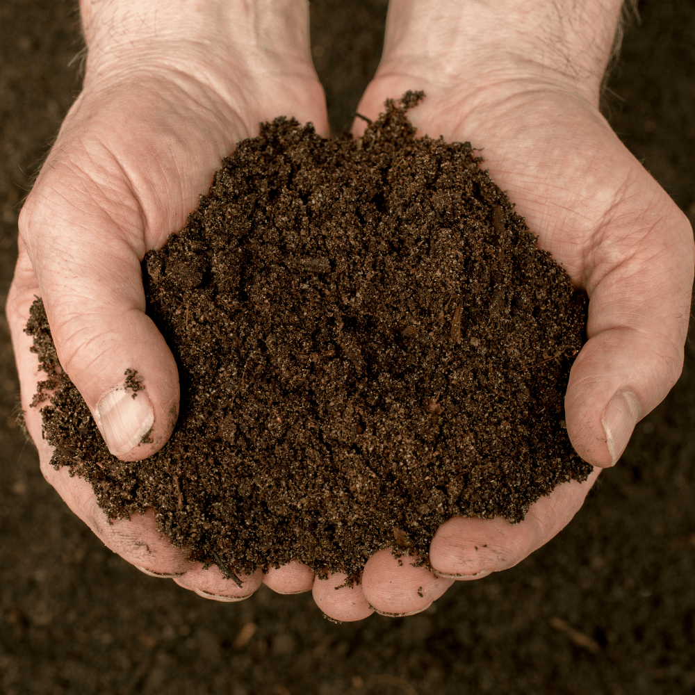 holding rich compost