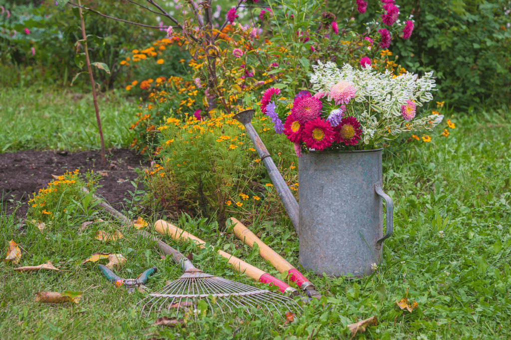 Cleaning Up The Beds of flowers