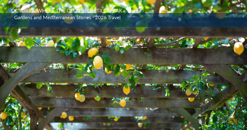 lemon pergola
