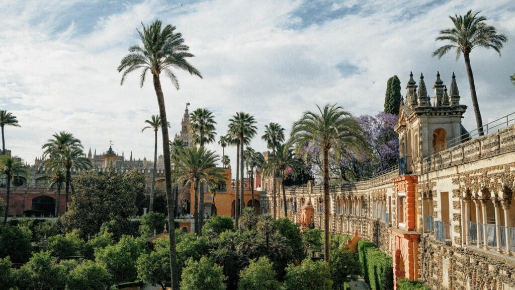 Spanish trees and architecture