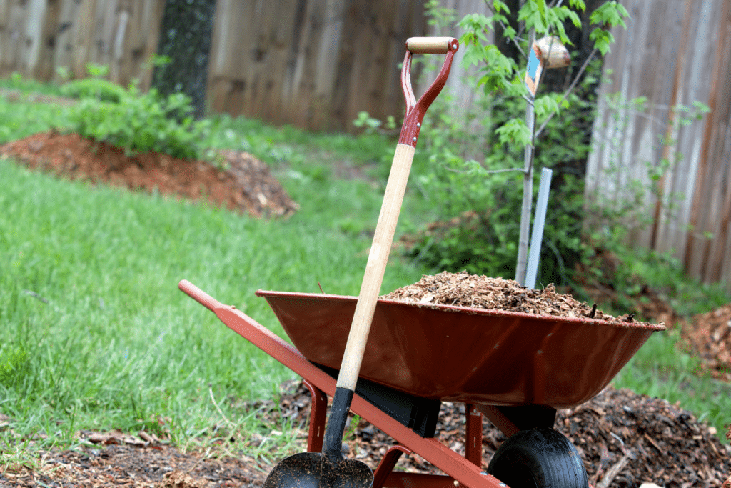 garden tools and equipment ready for a fall cleanup