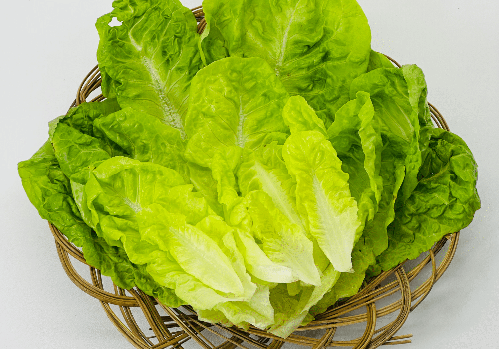 Romaine in Basket