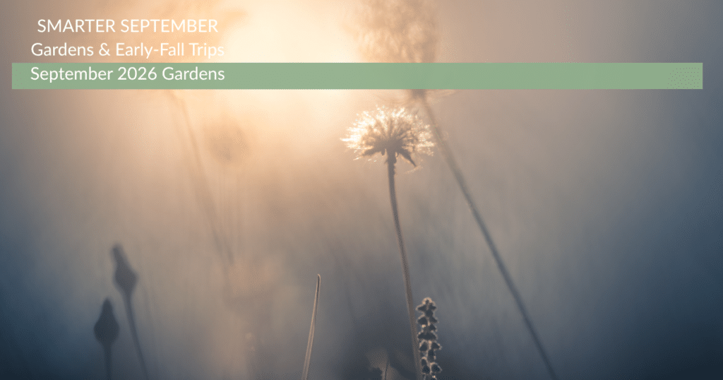 a late sumer garden with seeded blooms